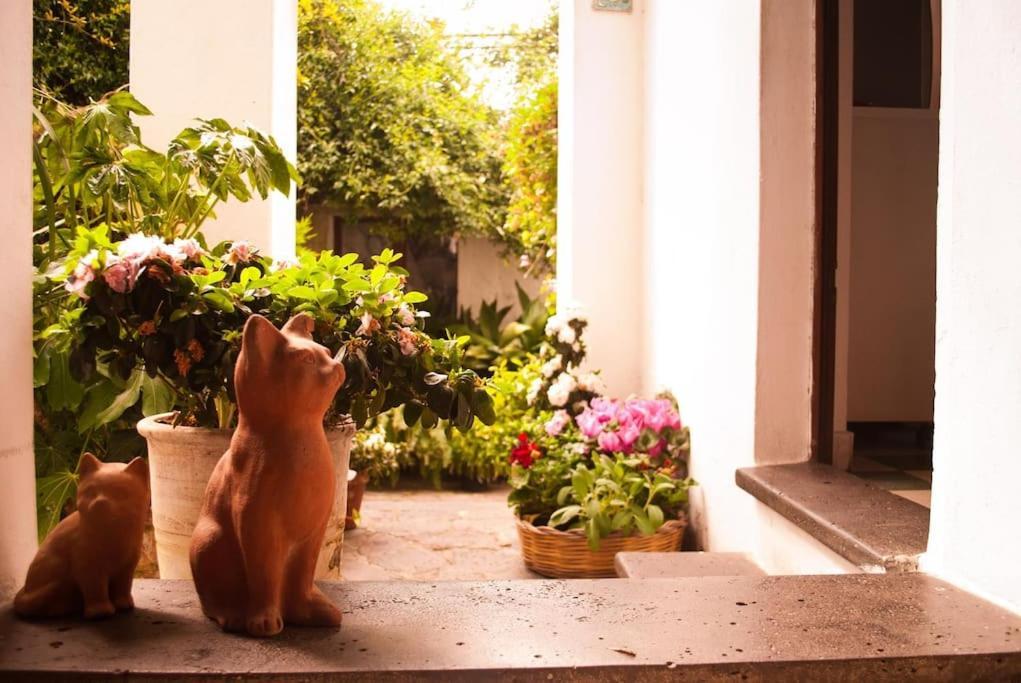 I Gerani Rossi Hotel Paulilatino Ngoại thất bức ảnh